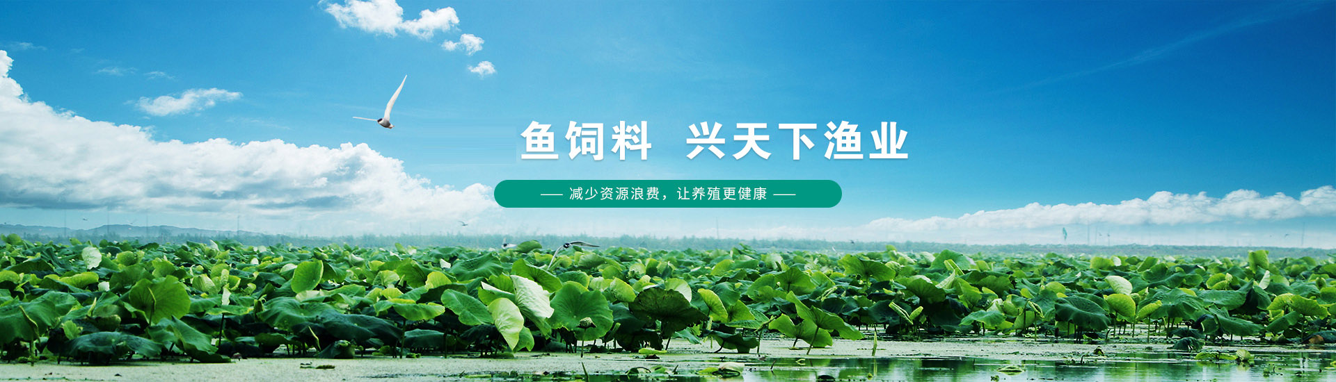 幻灯片1